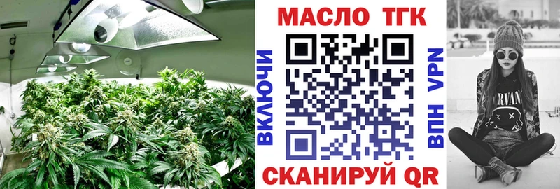 ОМГ ОМГ ссылка  дарнет шоп  Новошахтинск  ТГК THC oil 