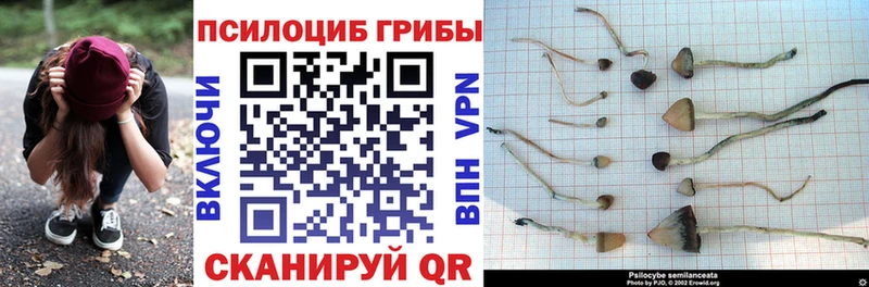 Псилоцибиновые грибы ЛСД  как найти закладки  KRAKEN маркетплейс  Новошахтинск 