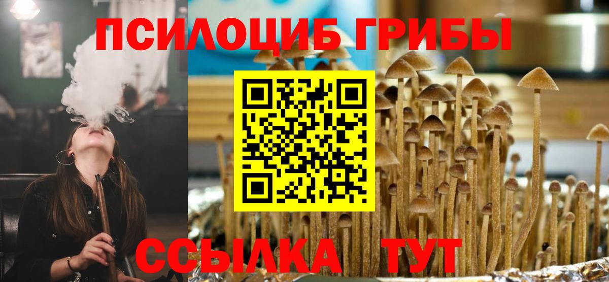 Псилоцибиновые грибы мицелий Новошахтинск