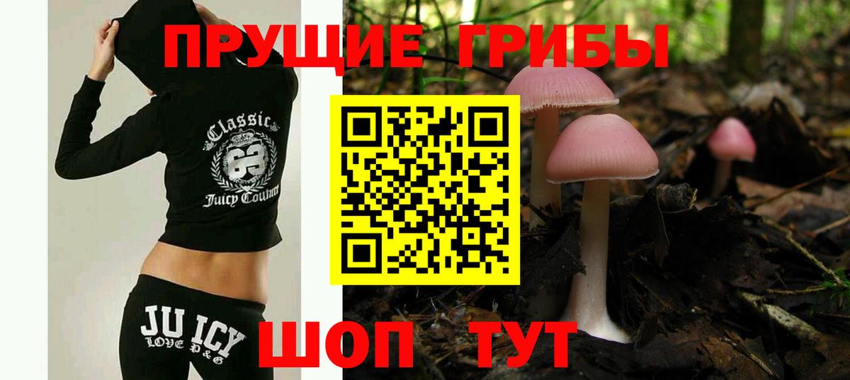 Новошахтинск  где купить наркотик  Вход с VPN  Псилоцибиновые грибы мицелий 